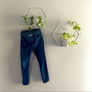 Natalie Super Skinny HUDSON Jeans